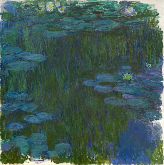 Nymphéas