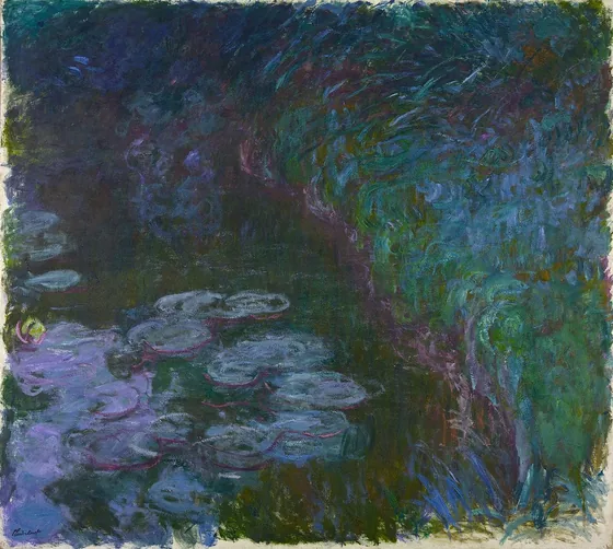 Nymphéas