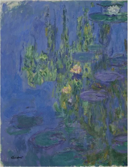 Nymphéas