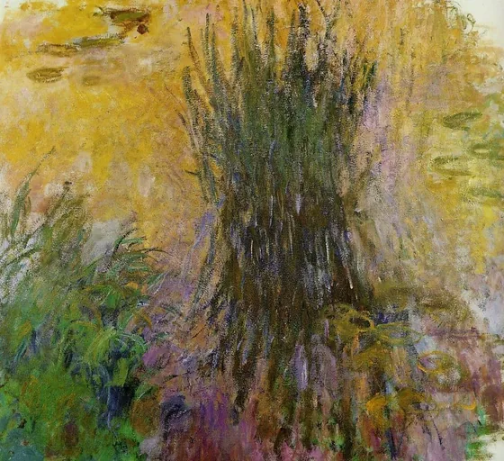 Nymphéas