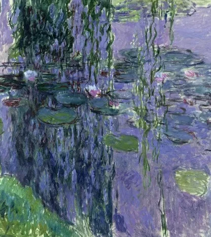 Nymphéas