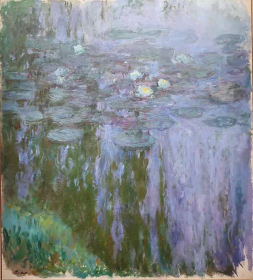 Nymphéas
