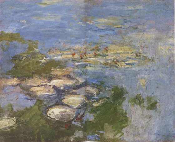 Nymphéas