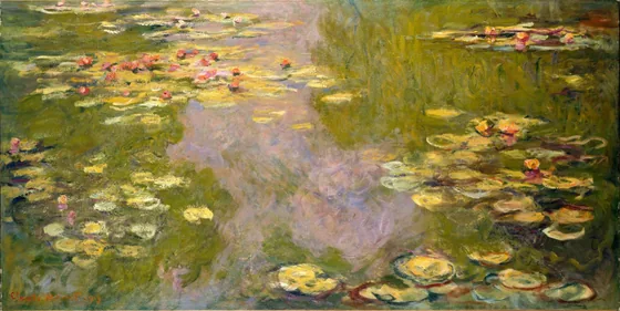 Nymphéas