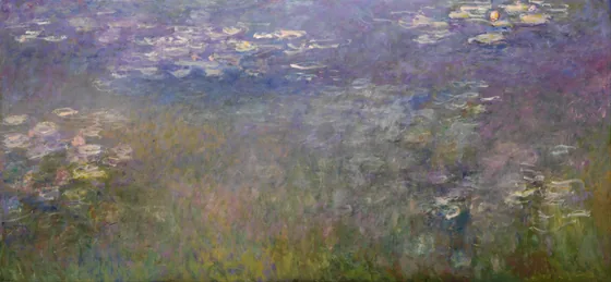 Nymphéas