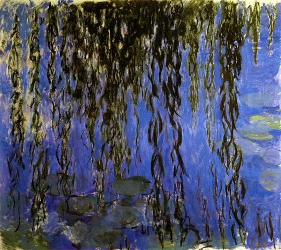 Nymphéas avec rameaux de saule