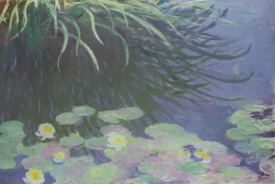 Nymphéas avec reflets de hautes herbes
