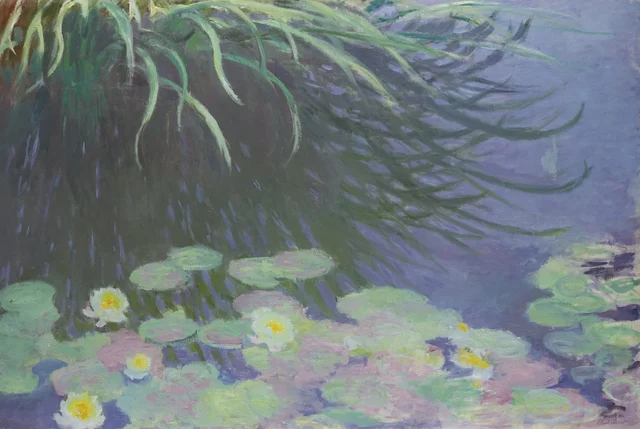 丈の高い草の反映のある睡蓮