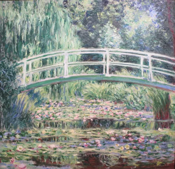 Nymphéas blancs