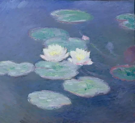 Nymphéas, effet du soir