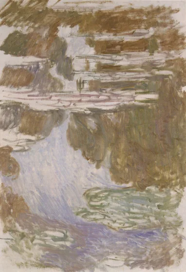 Nymphéas. Étude