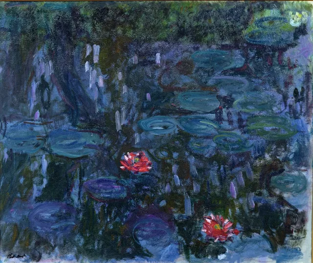 睡蓮、柳の反映