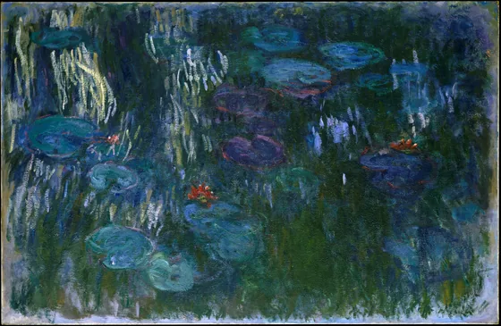 Nymphéas, reflets de saule
