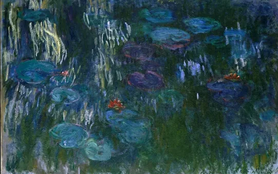 Nymphéas, reflets de saule