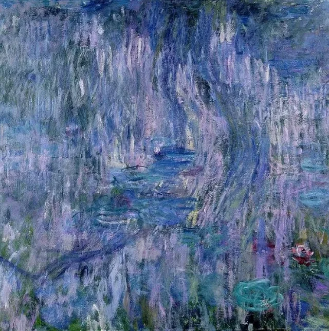 睡蓮、柳の反映