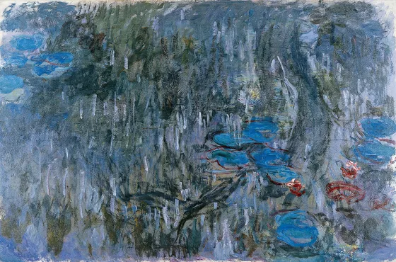 Nymphéas, reflets de saule