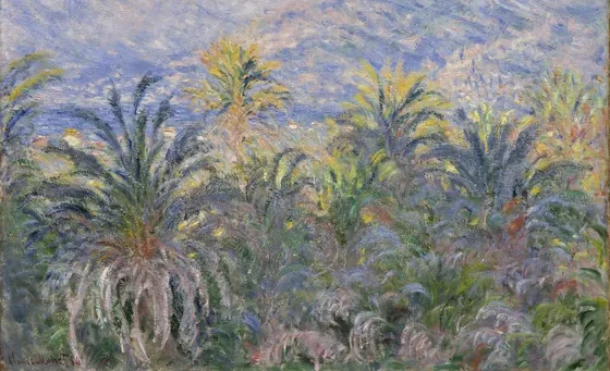 Palm Trees at Bordighera