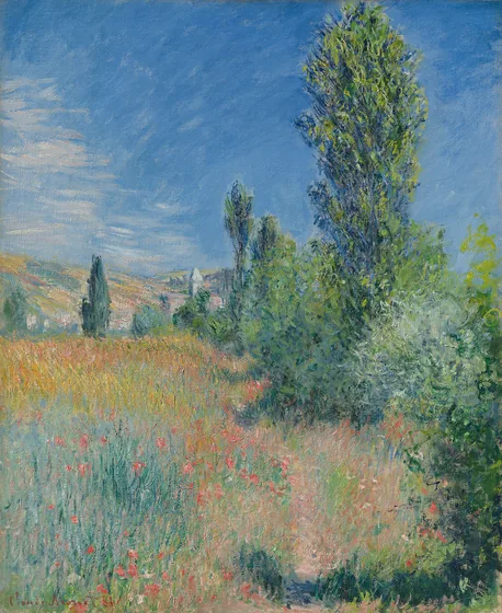Paysage dans l'île Saint-Martin