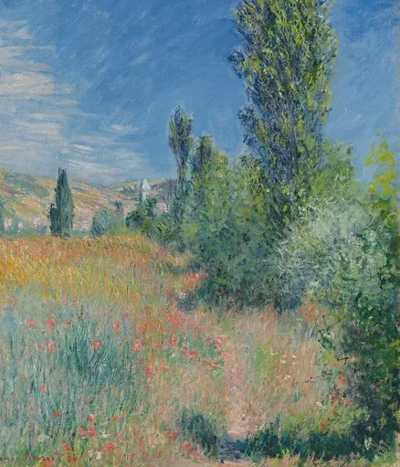 Paysage dans l'île Saint-Martin