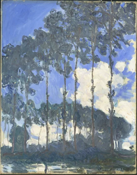 Peupliers au bord de l'Epte