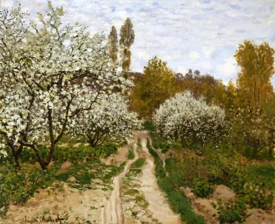 Pommiers en fleurs