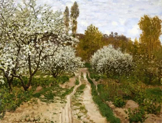 Pommiers en fleurs