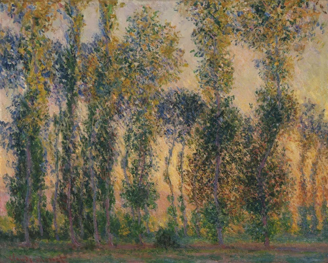Álamos en Giverny, sol naciente