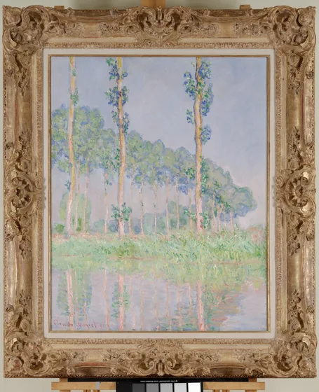 Poplars, Pink Effect
