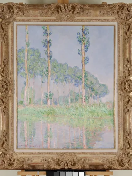 Poplars, Pink Effect