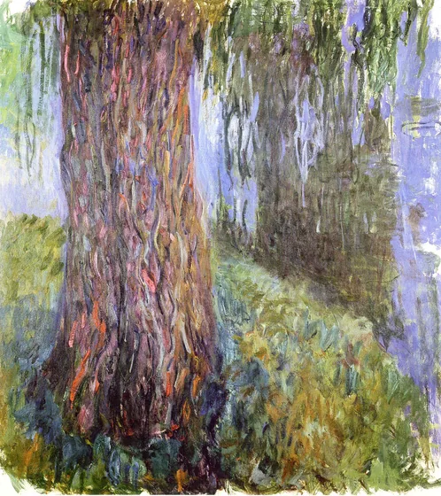 Saule pleureur et bassin aux nymphéas