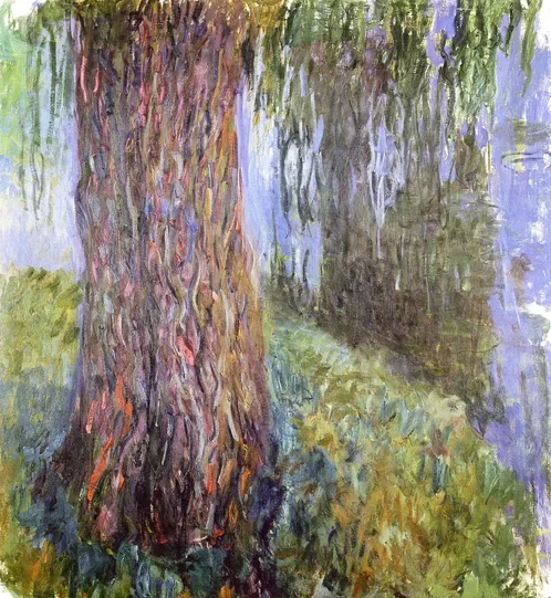 Saule pleureur et bassin aux nymphéas