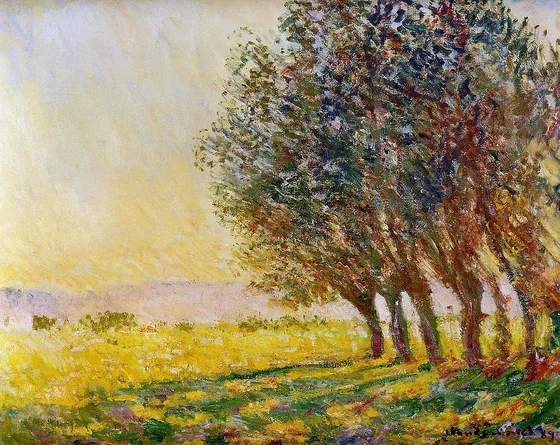 Saules au soleil couchant