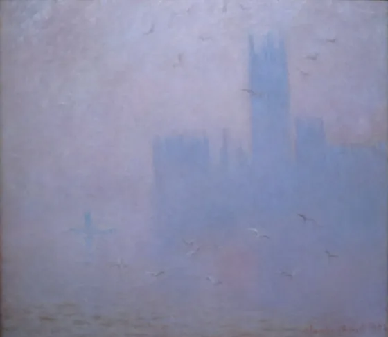 Seagulls, the River Thames and the Houses of Parliament