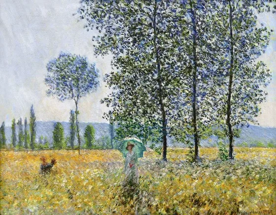 Sous les peupliers, effet de soleil