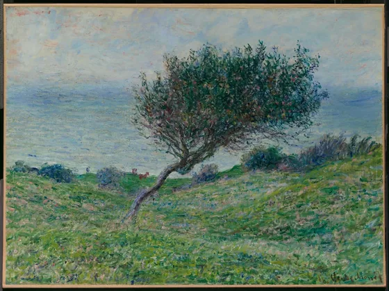 Sur la côte à Trouville