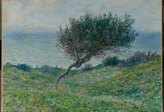 Sur la côte à Trouville