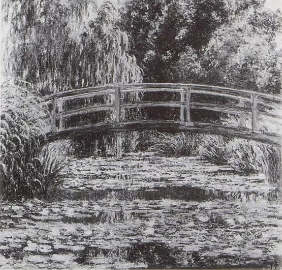 The Water Lily Pond