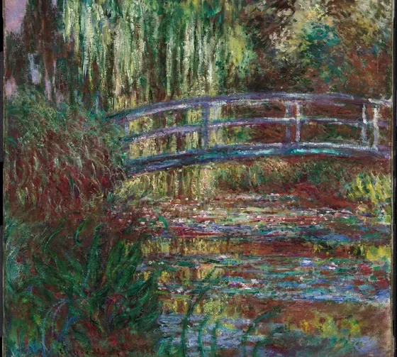 The Water Lily Pond