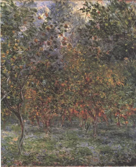 Under the lemon trees