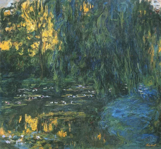 Vue du bassin aux nymphéas avec saule