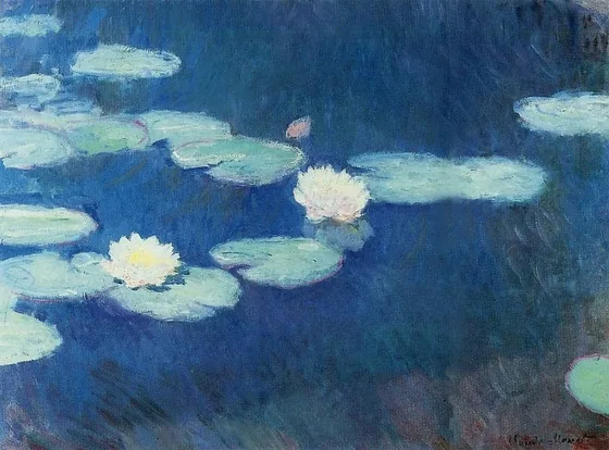 Water Lilies