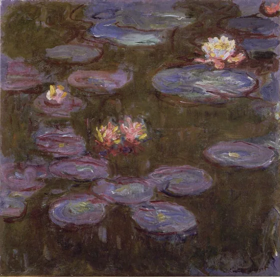 Water Lilies