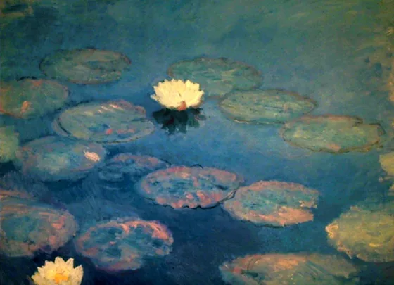Water Lilies