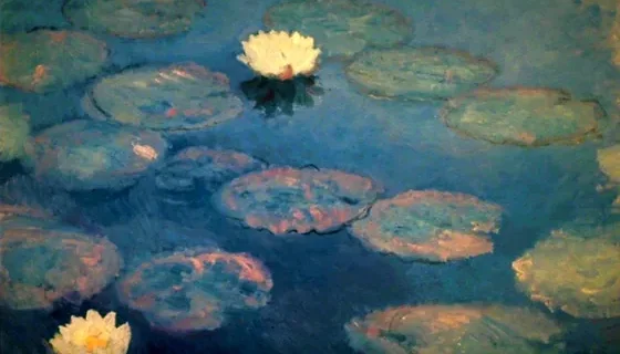 Water Lilies