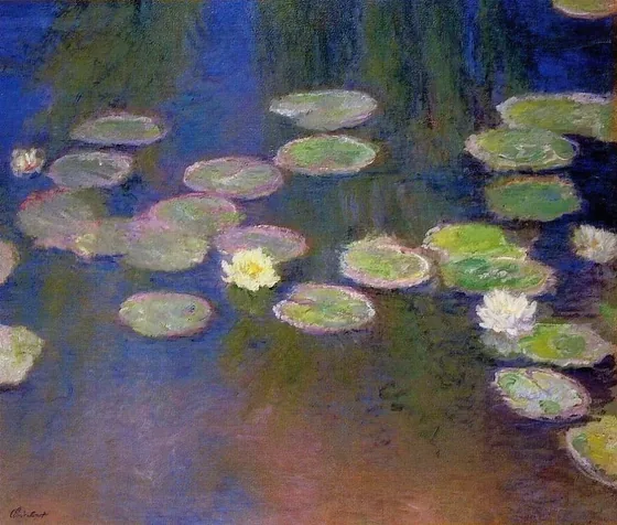 Water-Lilies