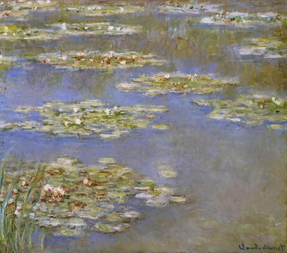 Water-Lilies