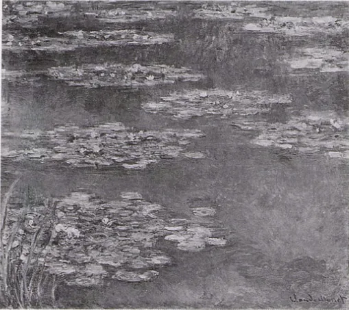 Water-Lilies