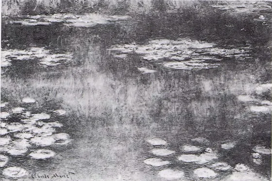Water-Lilies