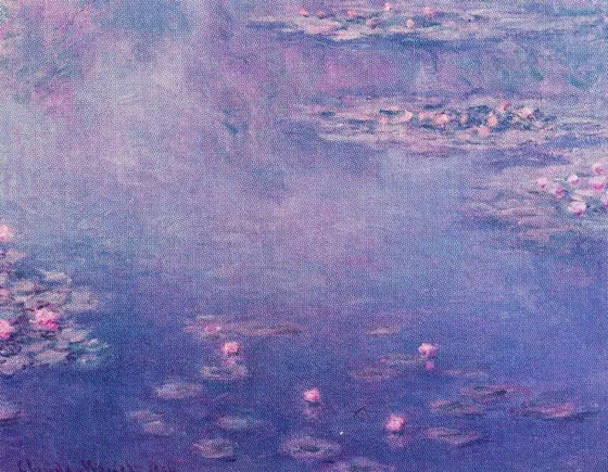 Water-Lilies