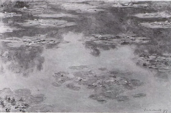 Water-Lilies
